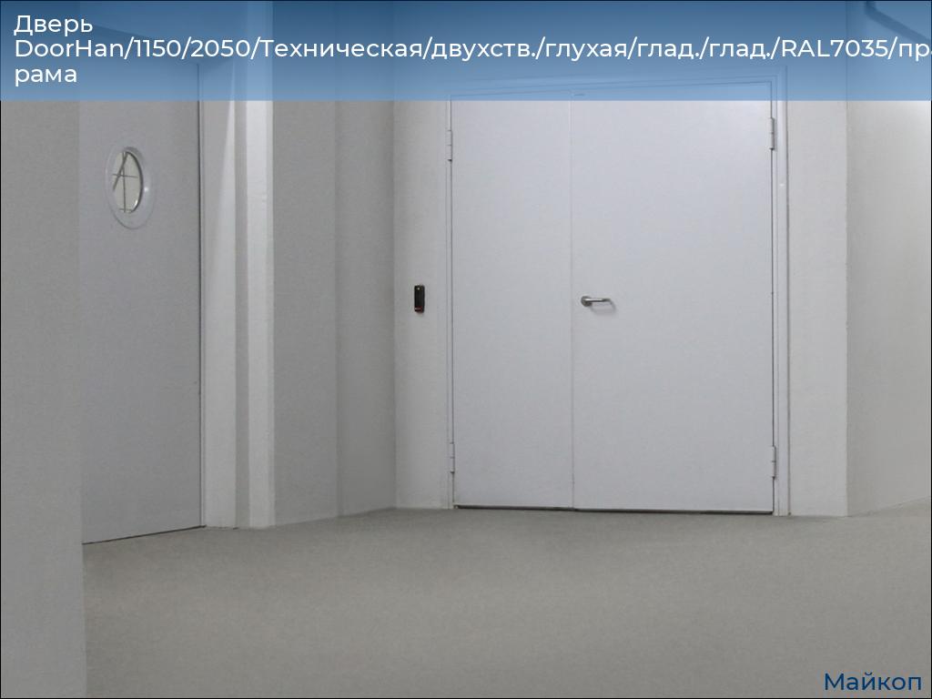 Дверь DoorHan/1150/2050/Техническая/двухств./глухая/глад./глад./RAL7035/прав./угл. рама, 