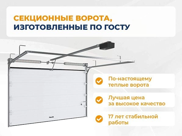 Cекционные ворота 3000х2650 мм коричнево-красные DoorHan RSD02,